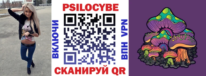 Галлюциногенные грибы Cubensis  KRAKEN   Абдулино  как найти наркотики 